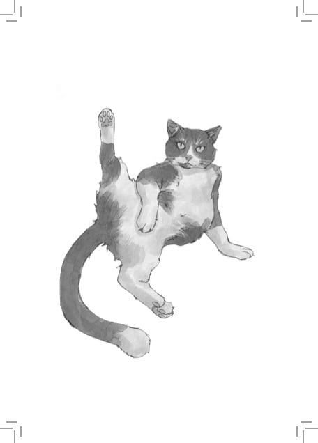 "Bedroom Negotiations" essay excerpt from 'Some Days I Wish I Was A Cat' by Mica De Leon
